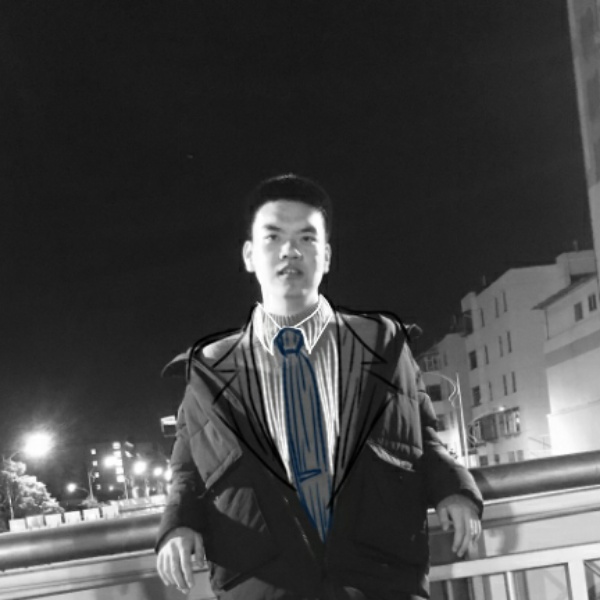 毛毛鸭的照片
