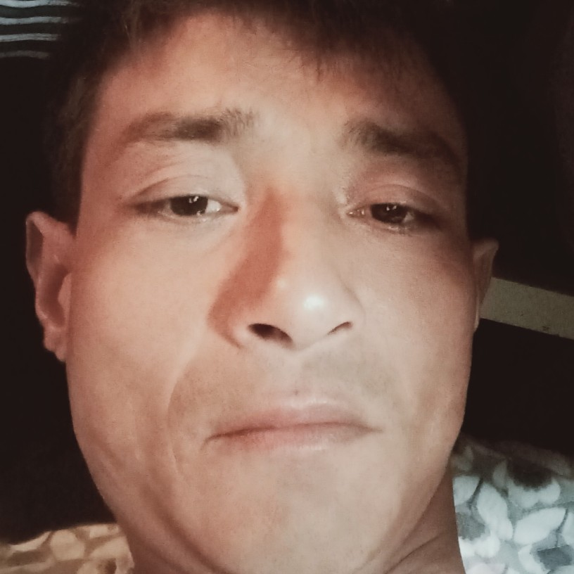 咖啡豆阿江沉静的照片