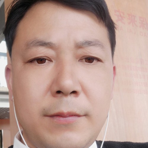 寂寞冰冷的寒风的照片