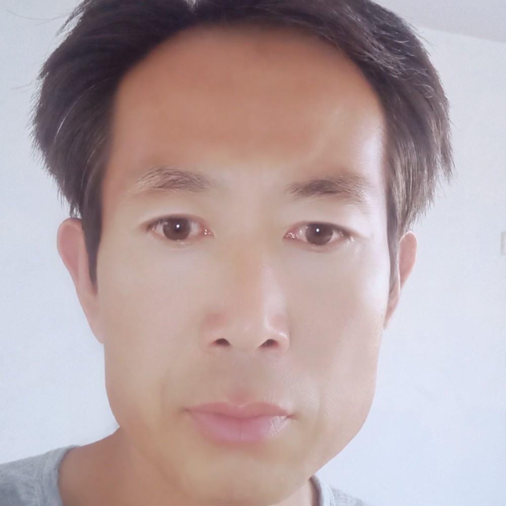 幸福向含羞草的照片