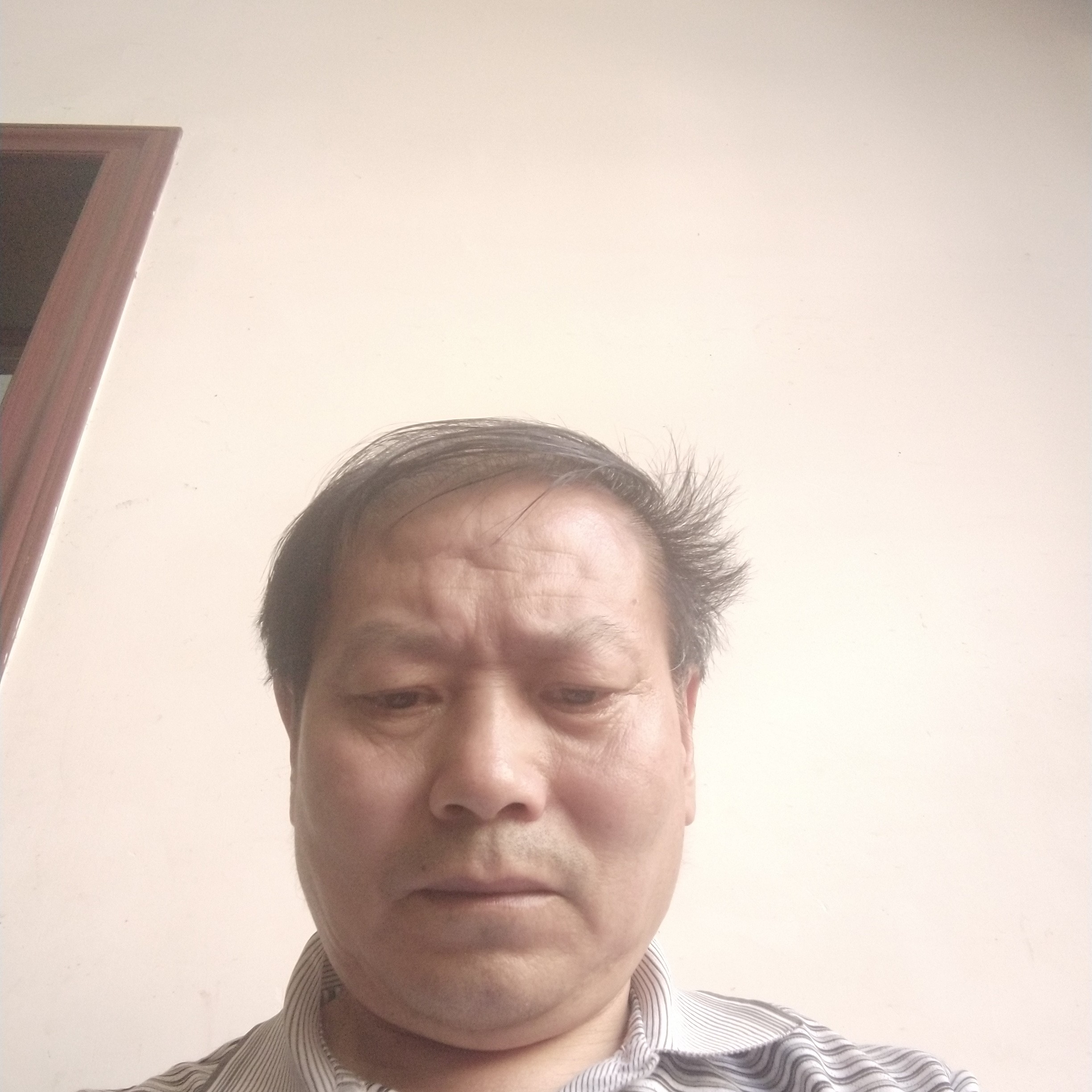 惊鸿爱恋深情的照片