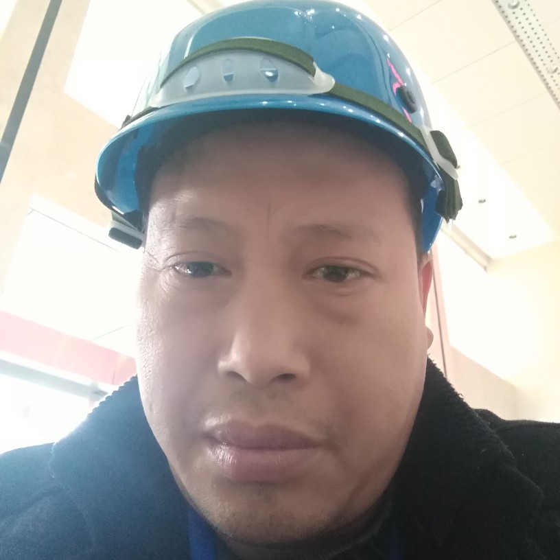 仙人掌踢奋斗的照片