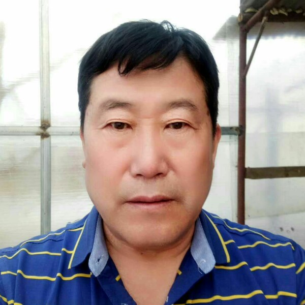 单身54年辽宁海的照片