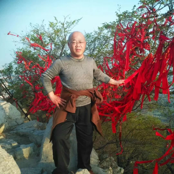 钢丝球的照片