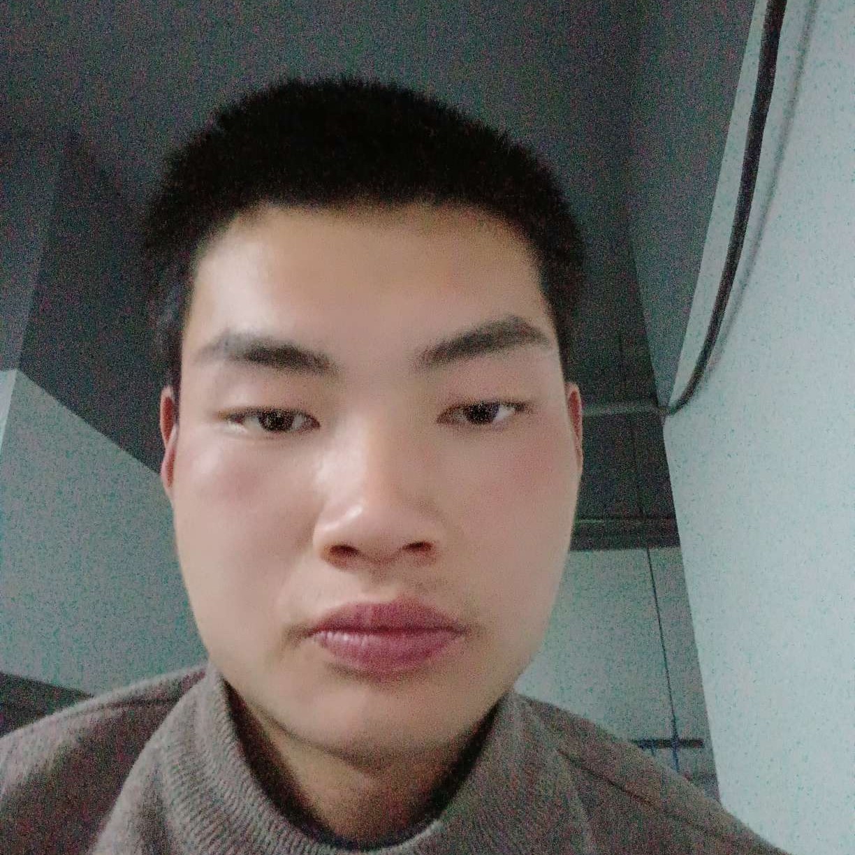 西牛保卫乐观的照片