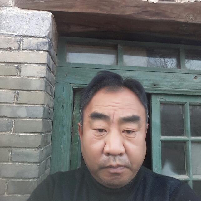 苹果乌冬面的照片