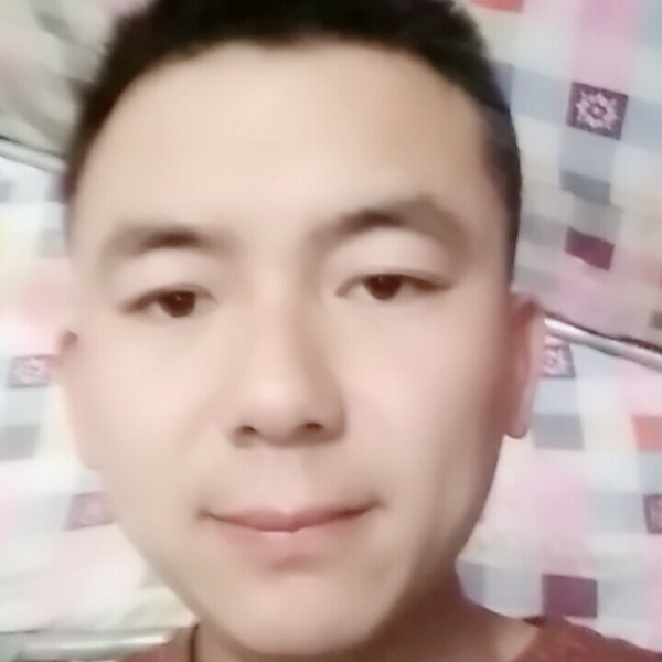 爱的夜猫的照片