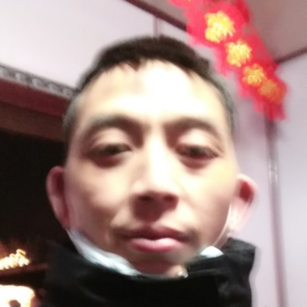 无情停止离歌的照片