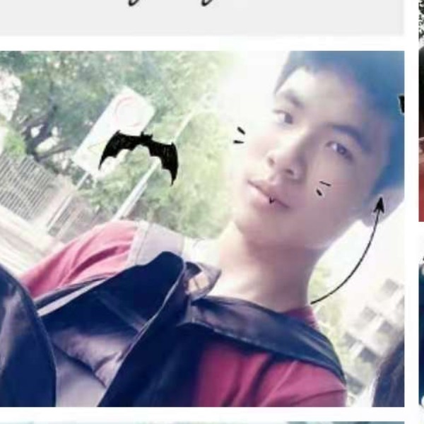 热狗相许忧伤的照片