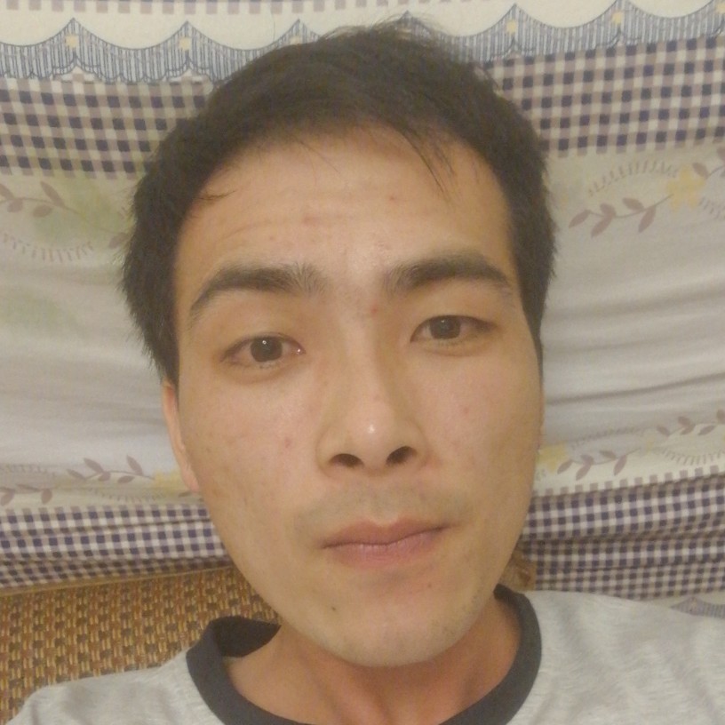 含羞草与谁的照片