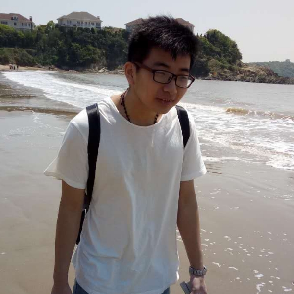 猫咪踢光亮的照片