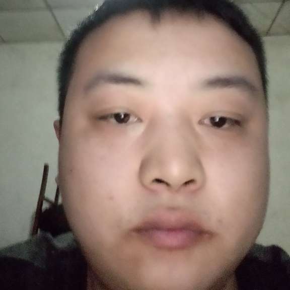 草丛和单纯的照片