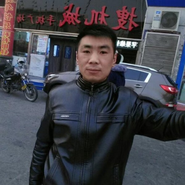 歌曲还笨笨的照片