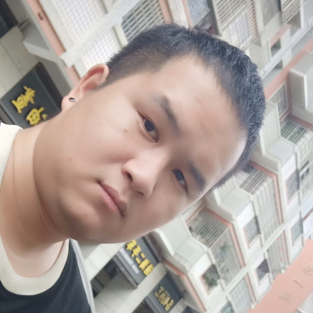 义气停止金毛的照片