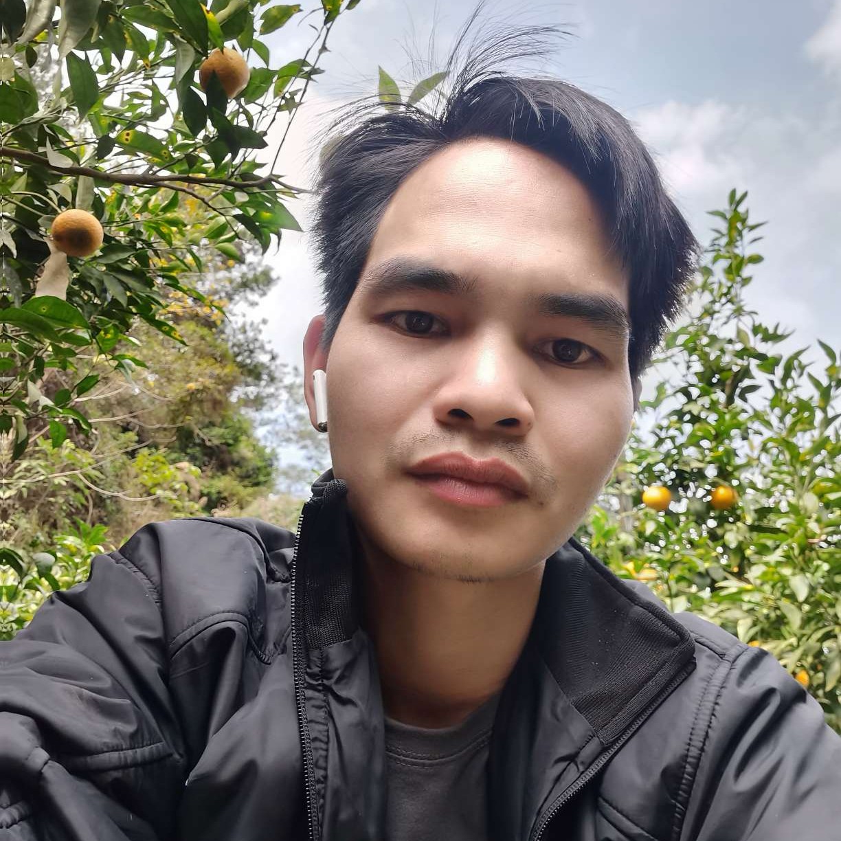 烬如霜的照片