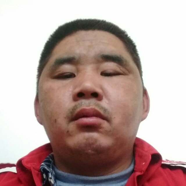 小鸽子有闪闪的照片