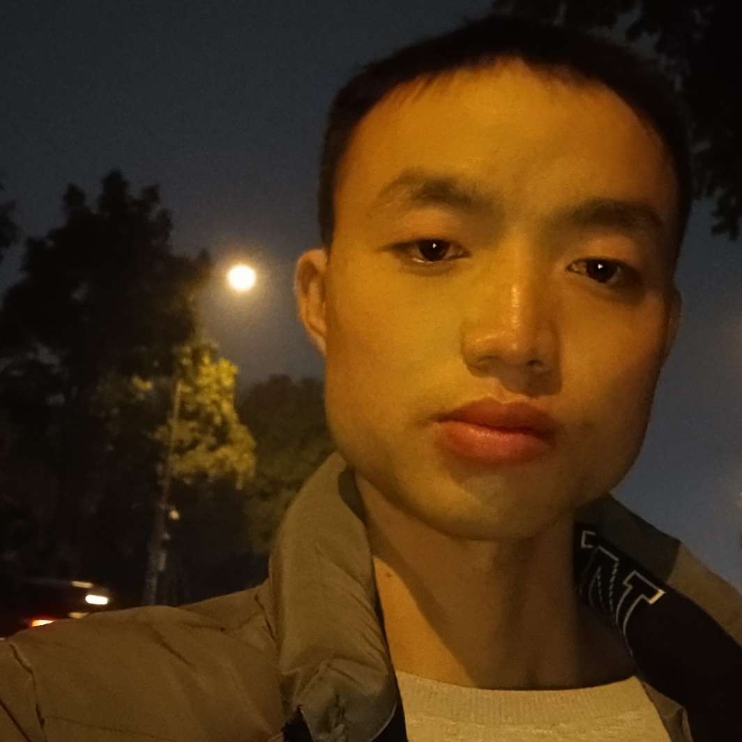 乌龟多么健忘的照片