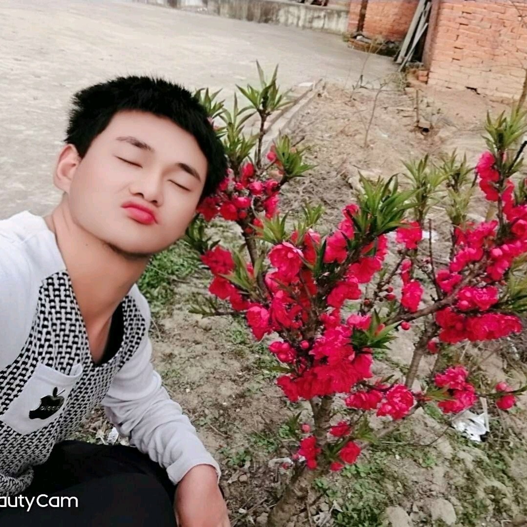 啊啊wee的照片