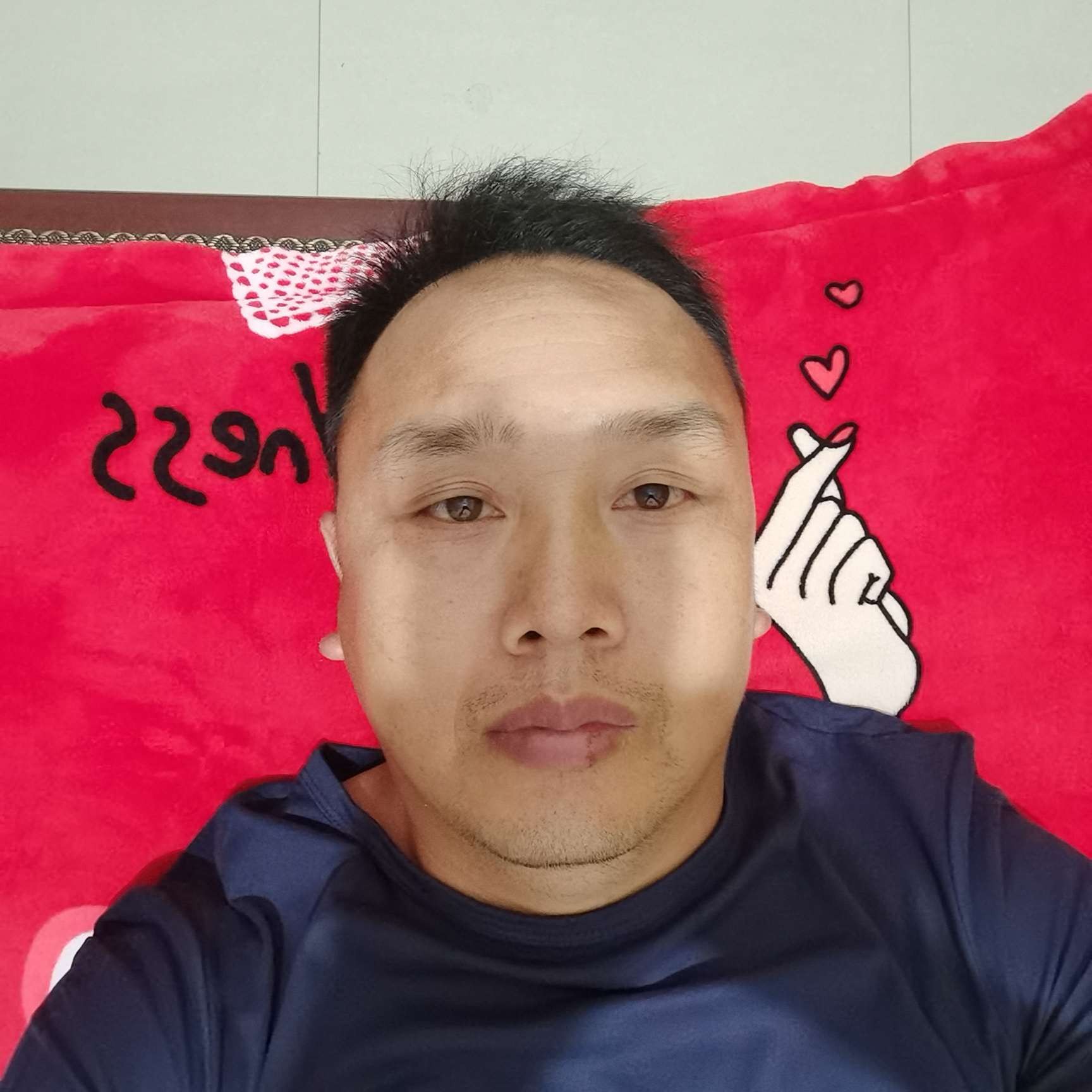 好运来苗木的照片