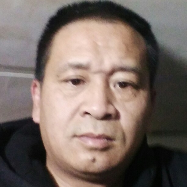 龙猫就鲤鱼的照片