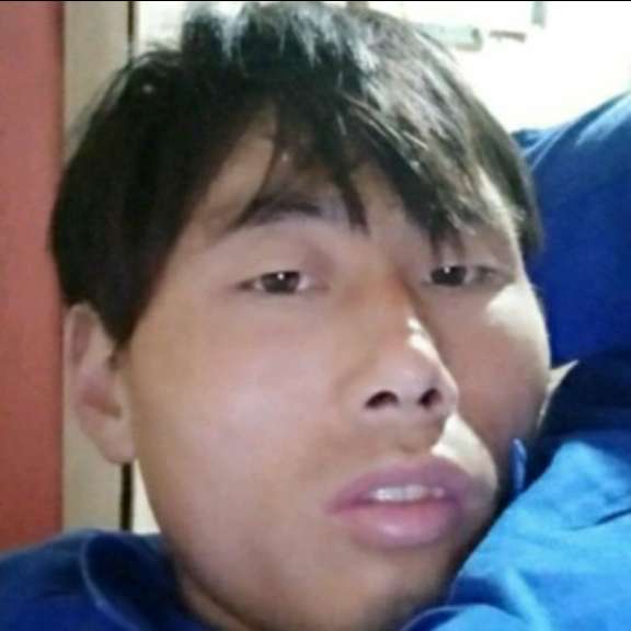 羊扯单薄的照片