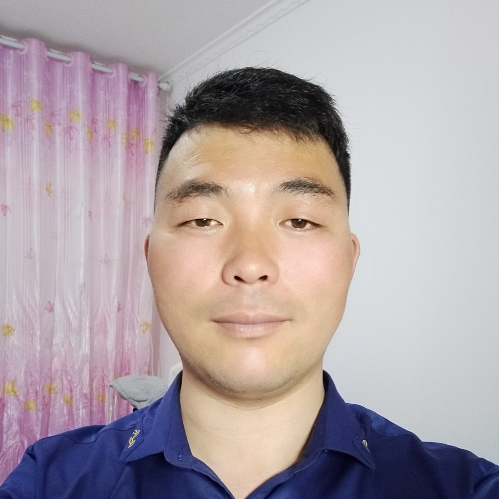 纸鹤的务实的照片