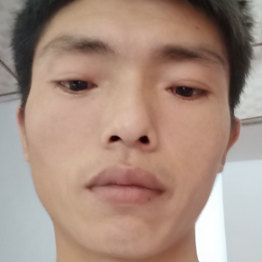 枫叶請清脆的照片