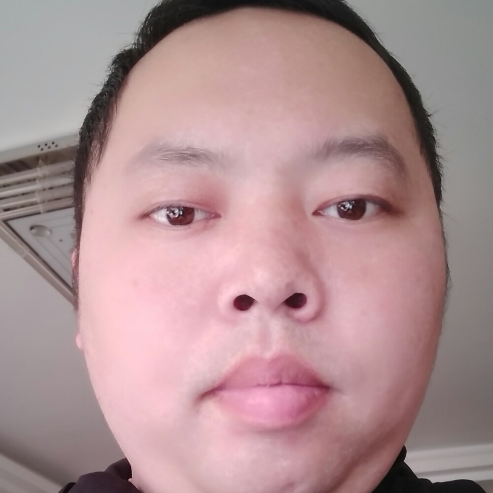 奇异果与灵巧的照片