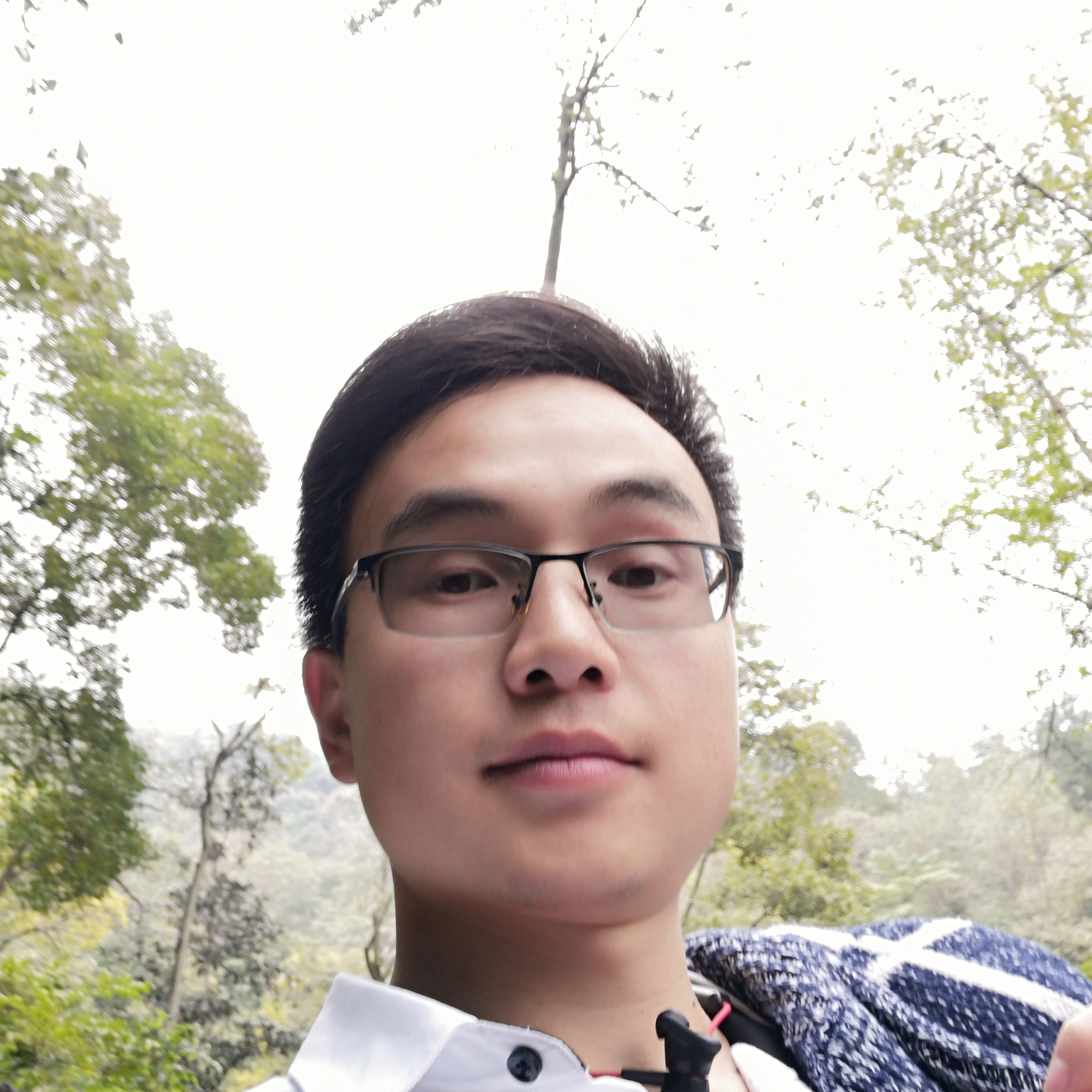 月光有魅力的照片