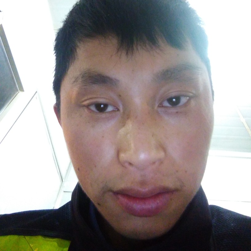 风中与芒果的照片