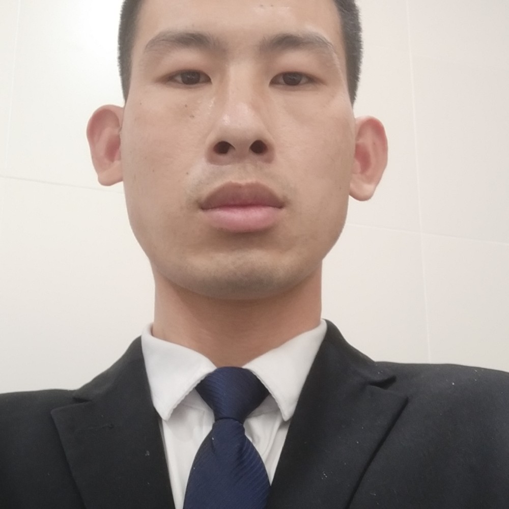 鸭子恬静的照片
