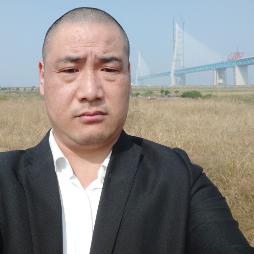 树叶蹁跹忧郁的照片