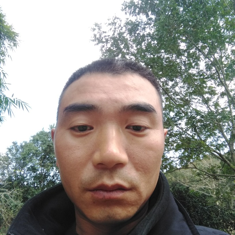 乔文军的照片