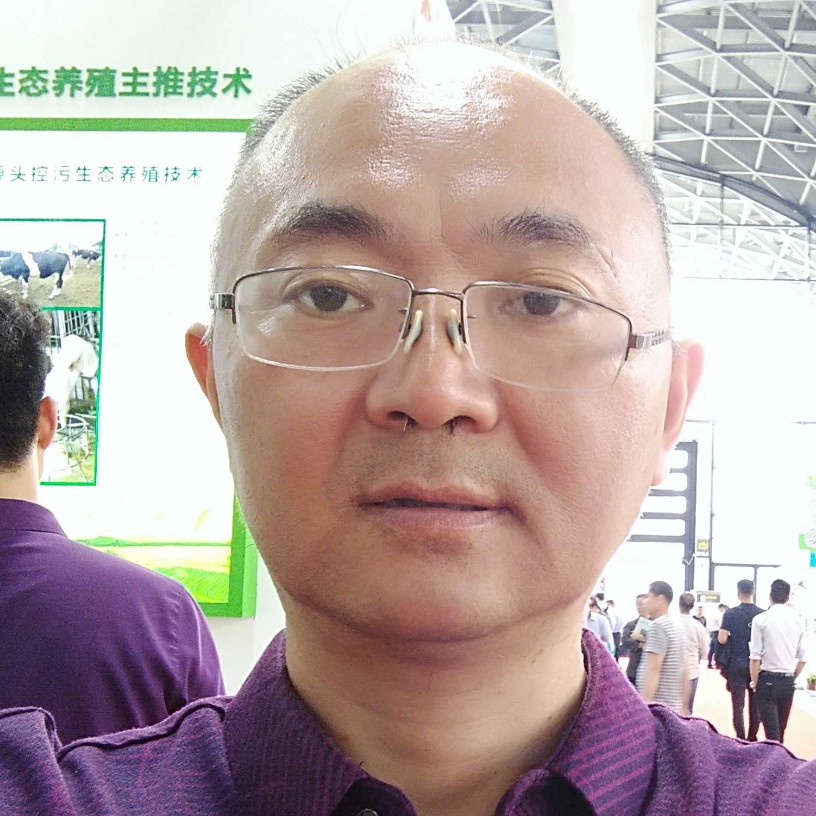 向日葵漫步大方的照片