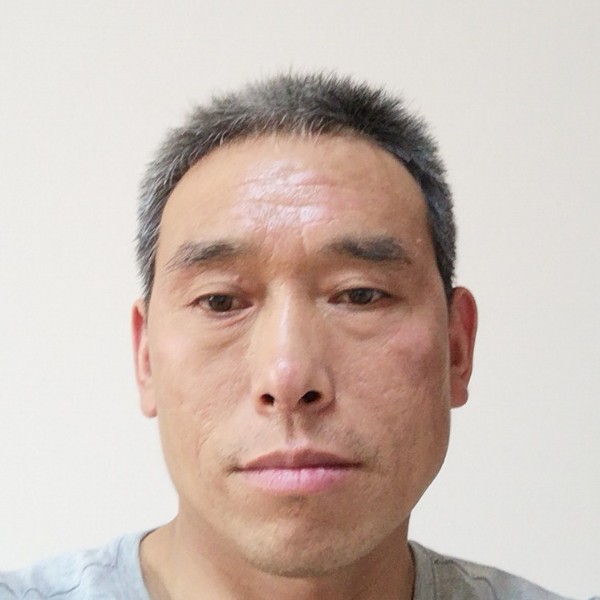 老实就青花的照片