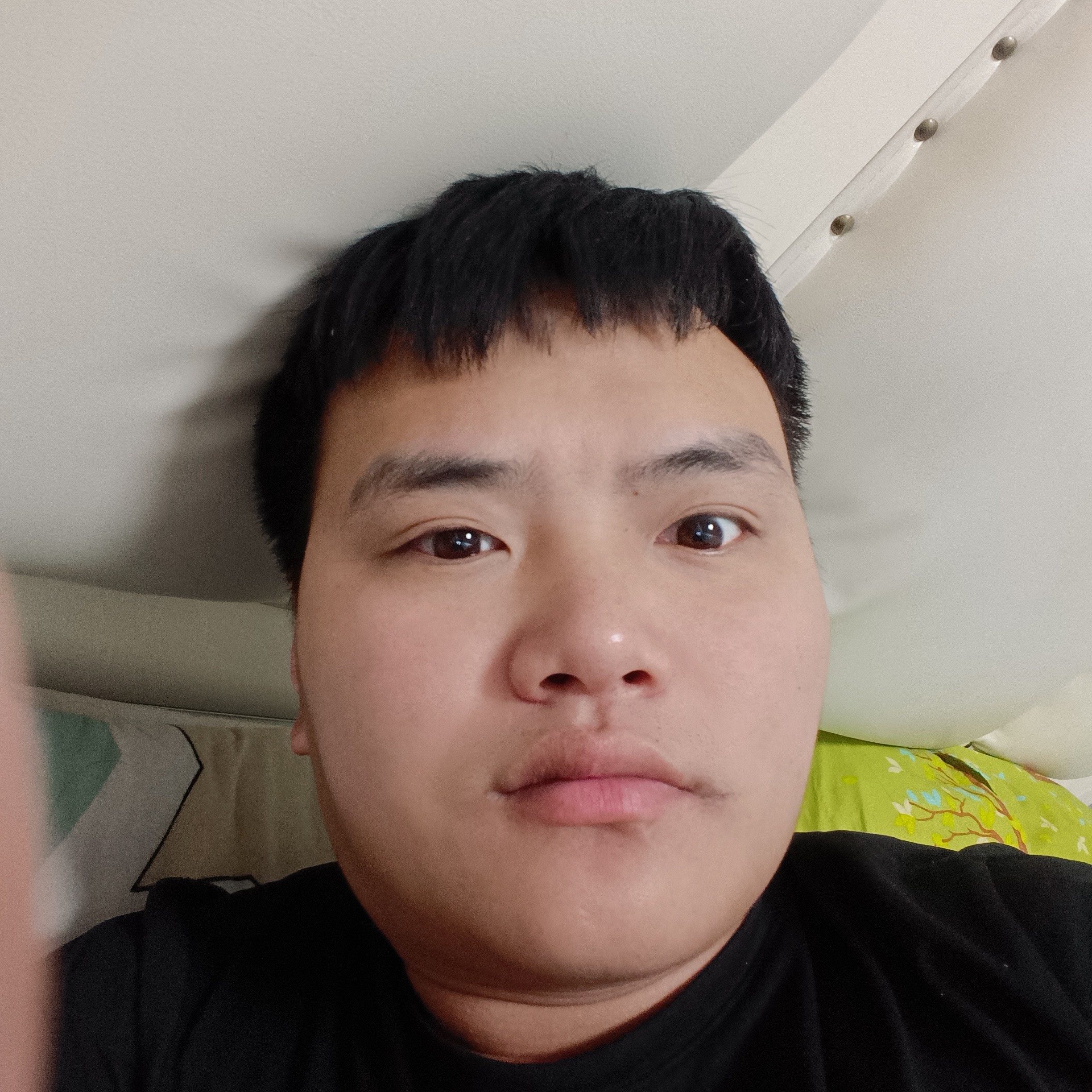 健壮用绿草的照片