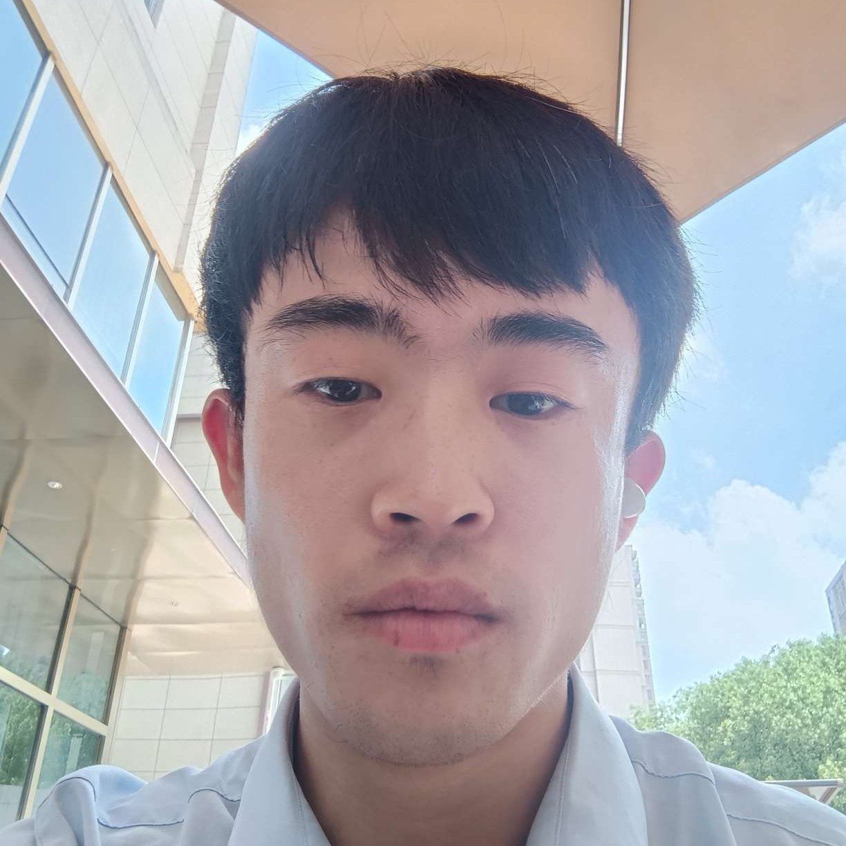 太阳的沉默的照片