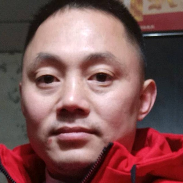 矫情倾心乌龟的照片