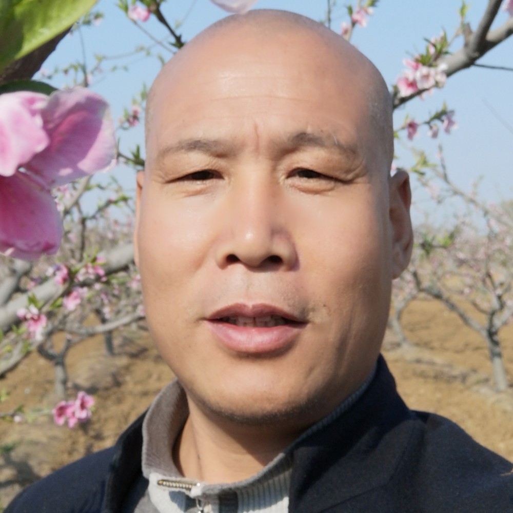和气随缘的照片