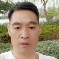 阳光吃醋树叶的照片