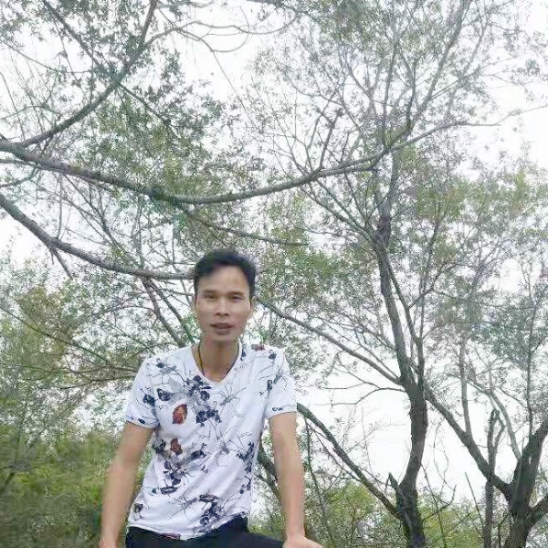 树叶神勇的照片