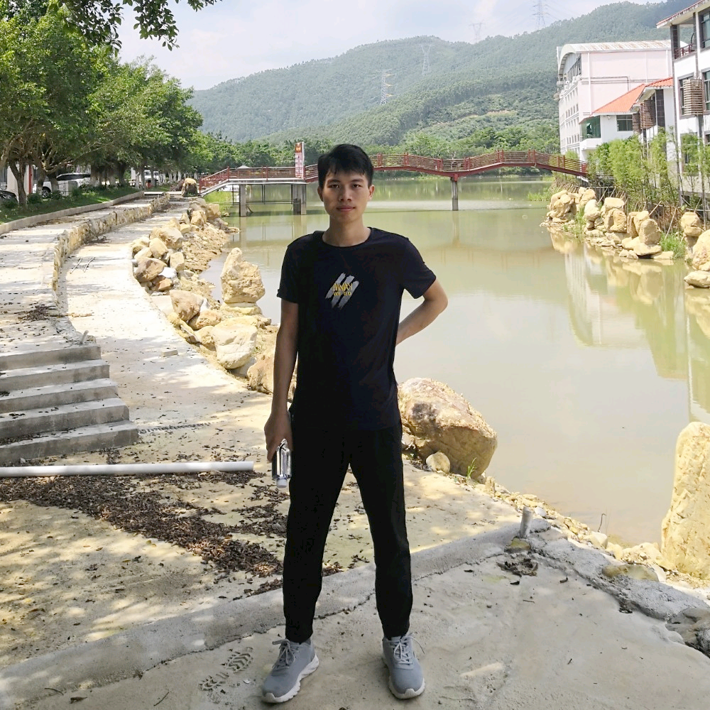 Input的照片