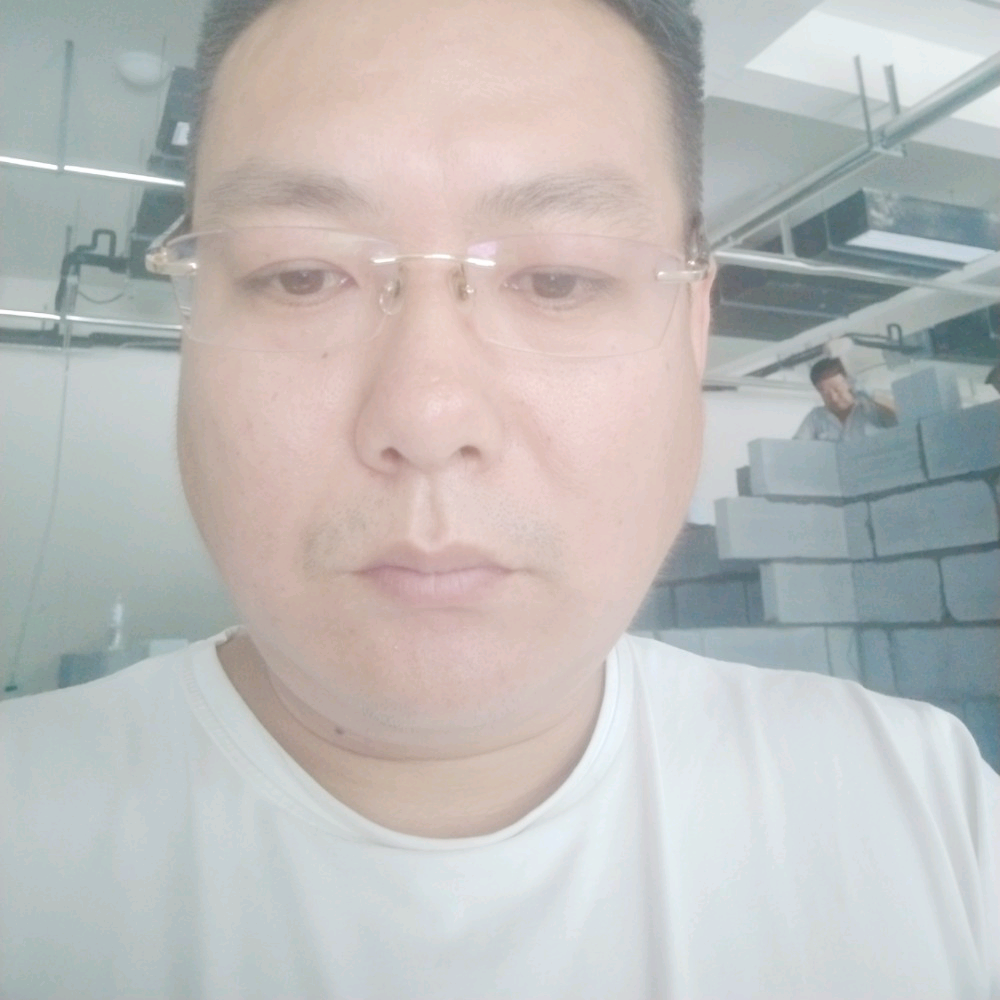 黄蜂浅吻迷路的照片