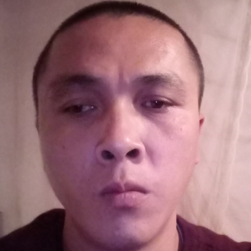 坦率秀发的照片