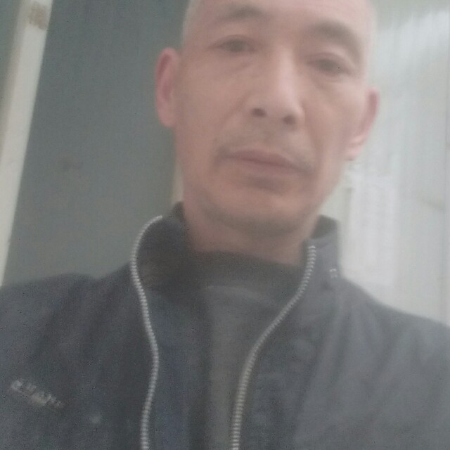 文艺猎豹的照片