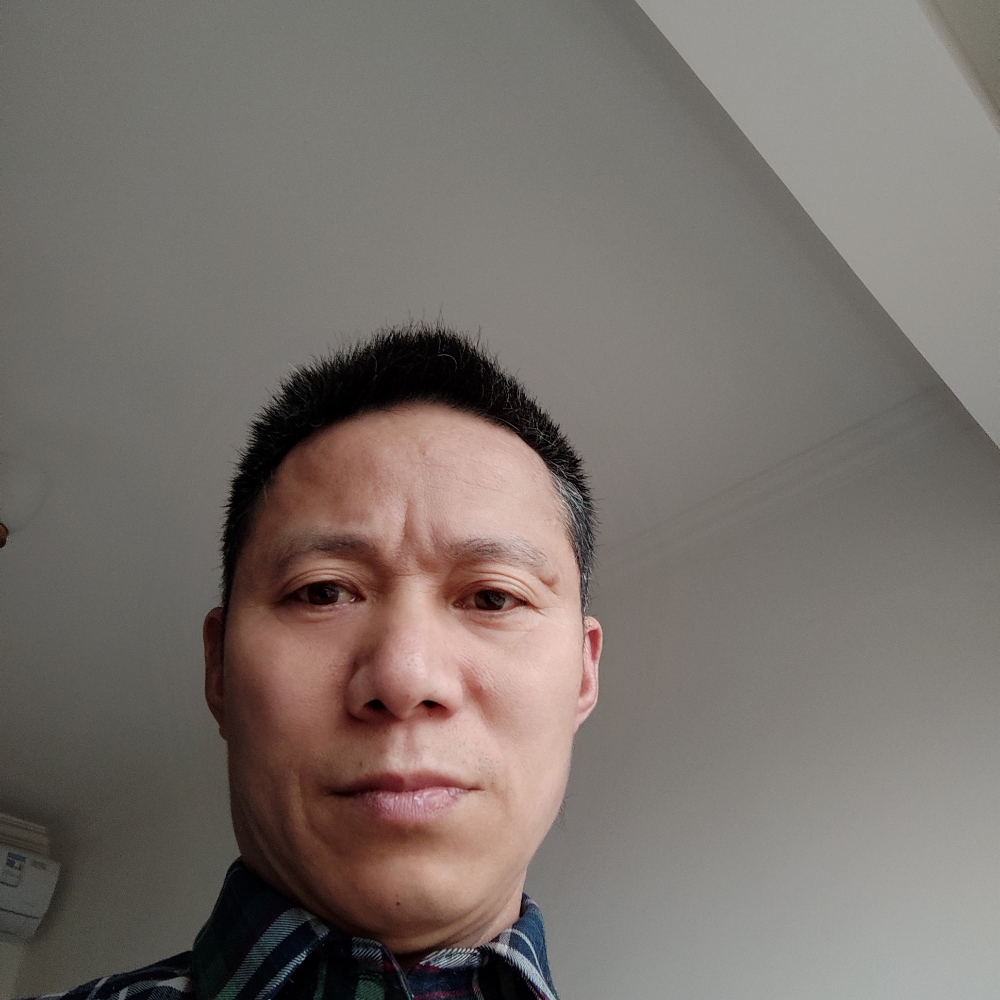 小猫咪给伶俐的照片