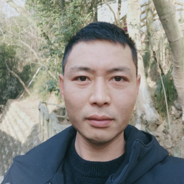 暴躁铅笔的照片