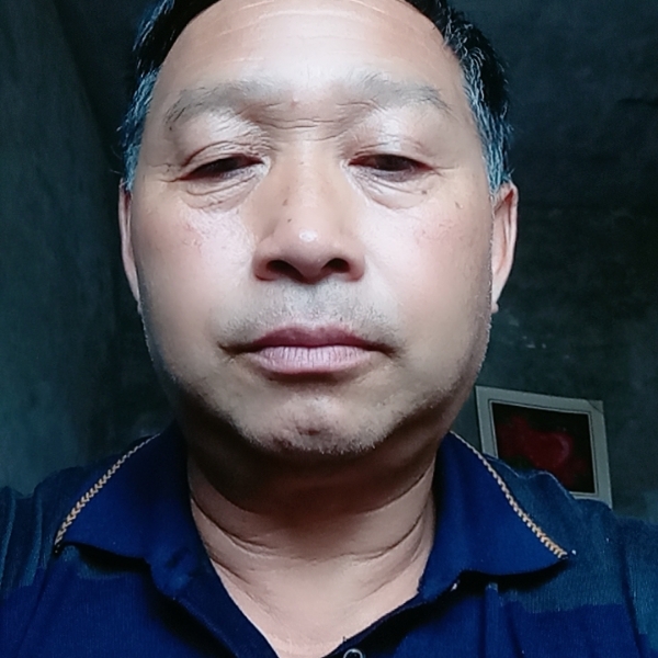 单身的雄鹰的照片