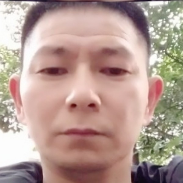月是故乡的照片