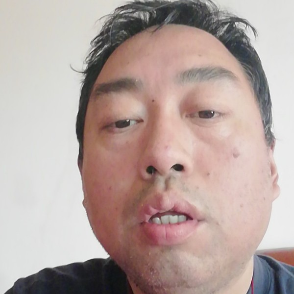 荫凉的照片